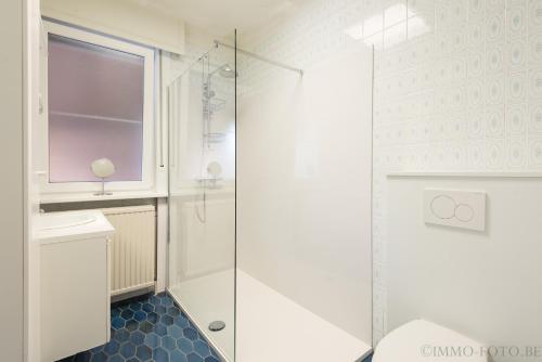 a bathroom with a shower and a toilet and a sink at Holiday home Zelenachten in Zele