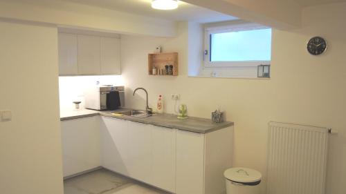 Kuchyň nebo kuchyňský kout v ubytování Apartment Kosatcová