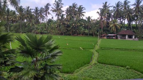 Sunset Pandawa Villa