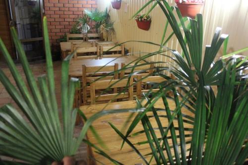 ゴルビツカヤにあるPoseydon Guest Houseの木製のテーブルと椅子、植物のある部屋