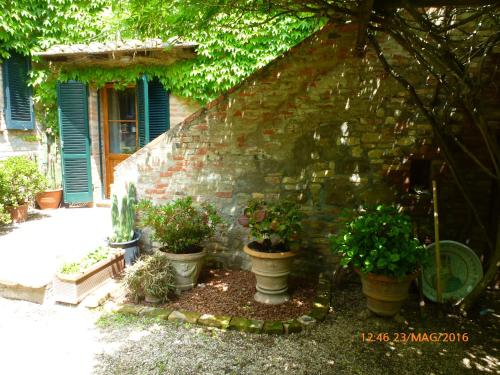 a group of potted plants in front of a building at Villa Marina in Bosco