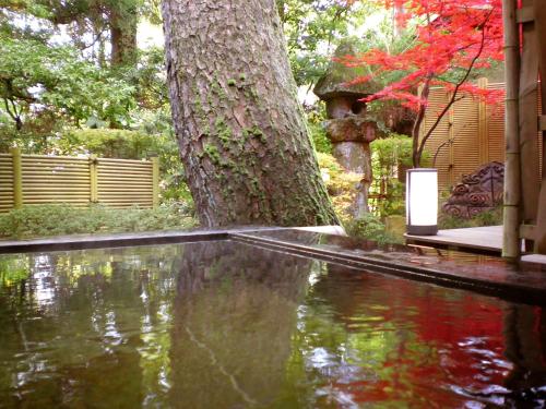 吉田屋 山王閣にある庭
