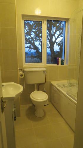 a bathroom with a toilet and a sink and a window at Ocean View in Glandore