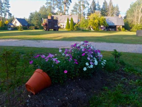 Jardin de l'établissement Vango Holiday Village