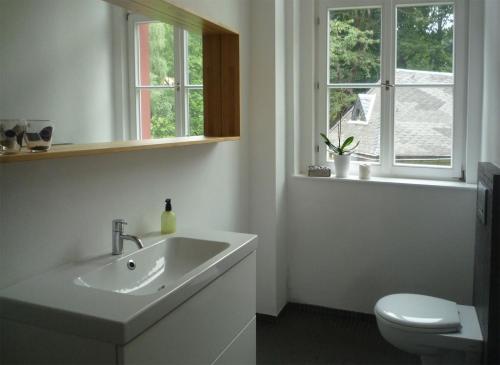 a bathroom with a sink and a toilet and windows at Postamt Lauenstein in Lauenstein