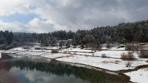 a river with snow on the ground and trees at VVF Jura Lac de Vouglans in Maisod