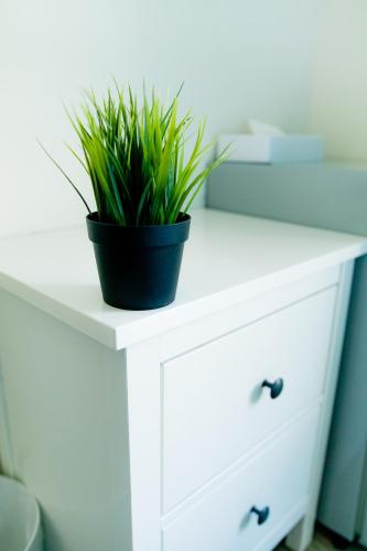 a white dresser with a potted plant on it at Lè mù in Taichung