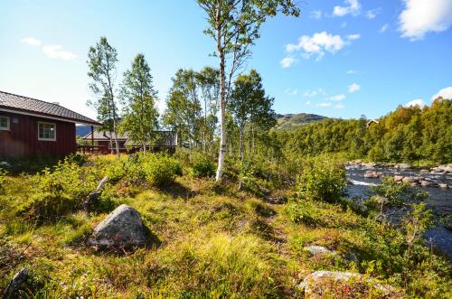 a cabin next to a river with trees at Hovden Høyfjellsenter in Hovden
