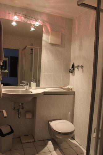 a bathroom with a toilet and a sink and a mirror at Hotel Roemerstein in Mainz