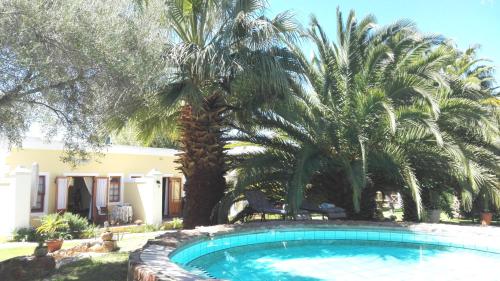 a swimming pool in front of a house with palm trees at Saxe-Coburg Lodge in Prince Albert