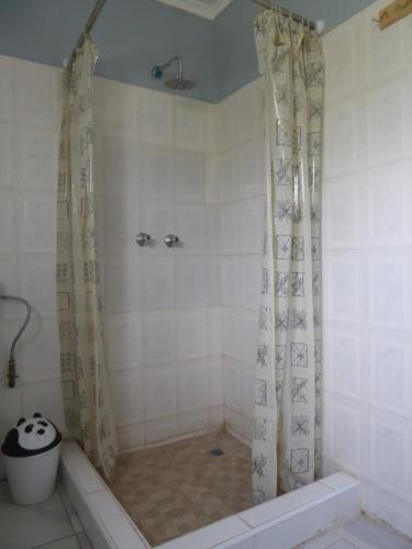 a bathroom with a shower with a shower curtain at Natwange Backpackers in Lusaka