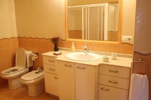 ein Badezimmer mit einem Waschbecken, einem WC und einem Spiegel in der Unterkunft Casa Rural Erretzabal Txiki in Orio