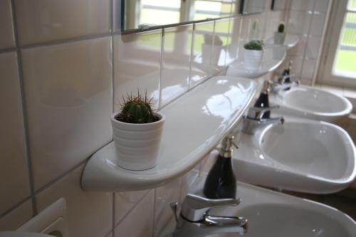 a bathroom with three sinks and a potted plant on a counter at Berg Blick Jugendherberge mit Privatzimmer in Kochel