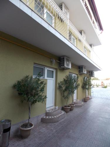 a row of potted trees on the side of a building at Pensiune Xe-Mar in Arad
