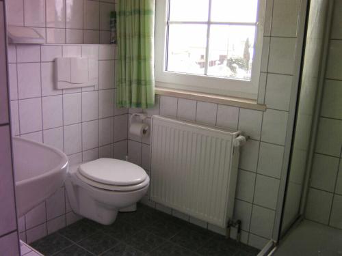 a bathroom with a toilet and a sink and a window at Alte Käserei Kössern in Grimma