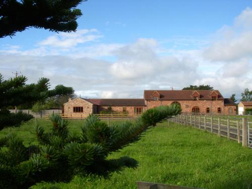 a house in a field with a christmas tree at The Stables at the Vale in Yarm