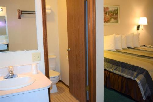 een badkamer met een bed, een wastafel en een toilet bij Country Inn Libby in Libby