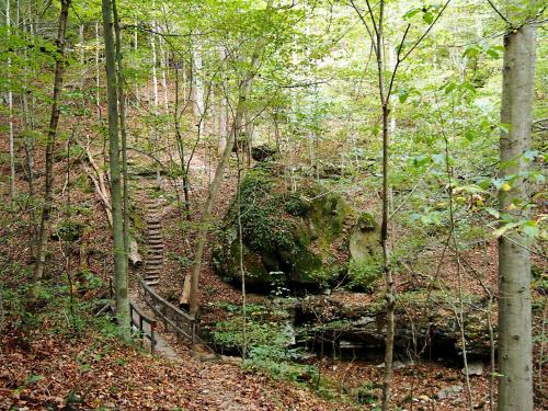 a path through a forest with a creek and trees at Carter Caves State Resort Park in Olive Hill