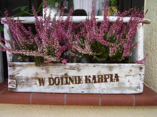 a wooden crate filled with flowers on a wall at Ranczo w Dolinie Karpia - blisko "Energylandii" Zator in Spytkowice