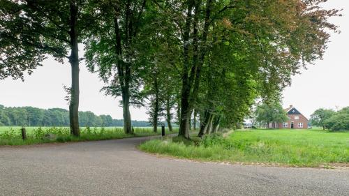 a road with trees and a house in the distance at B&B Erve ten Dam in Ambt Delden