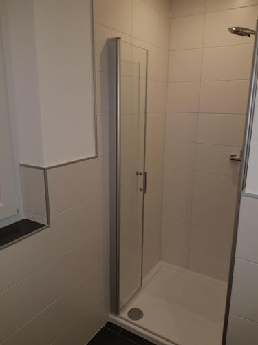 a shower with a glass door in a bathroom at FeWo Lena in Kinderbeuern
