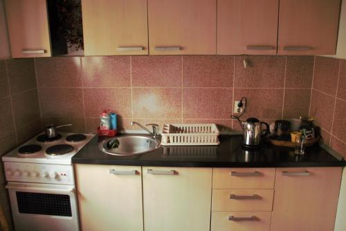 a kitchen with a sink and a counter top at Holiday Home Dana Kopaonik in Kopaonik