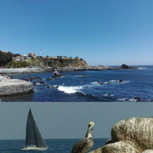 a sailboat and a bird on the beach and a boat in the water at Hostal Tunquelen in Valparaíso
