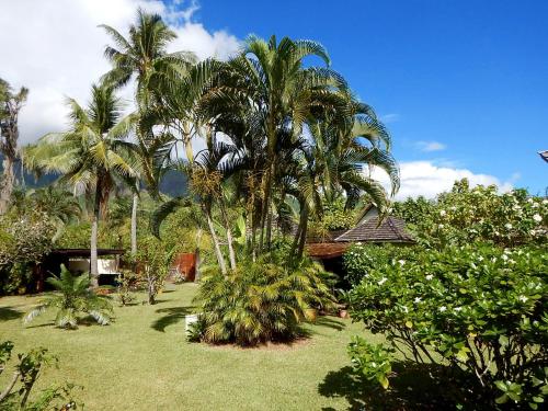 Zahrada ubytování Poerani Moorea