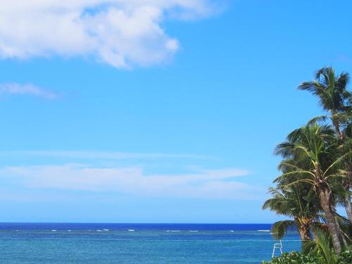 a view of the ocean from a beach with palm trees at Pension Moon Villa in Onna