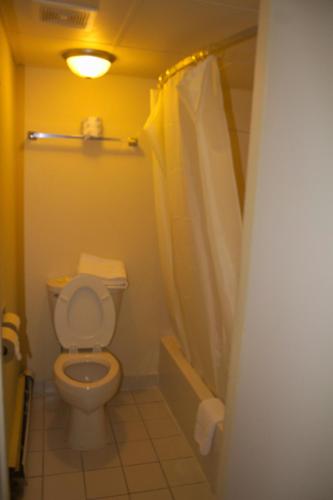 a bathroom with a toilet and a shower at American Inn and Suites in Countryside