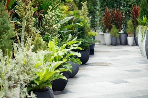 Zahrada ubytování Klub Hotel Bangkok