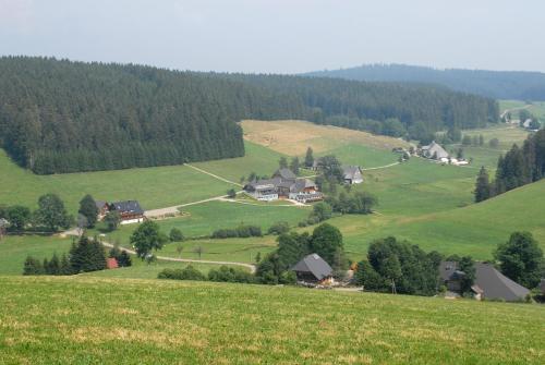 a green hillside with houses in the middle of a field at Hotel Kaltenbach in Triberg