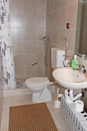 a bathroom with a toilet and a sink at Guest House Business in Valpovo