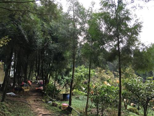 Shan Hu Lian Homestayにある庭