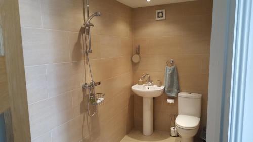 a bathroom with a shower and a sink and a toilet at The Cartlodge B & B in Colchester