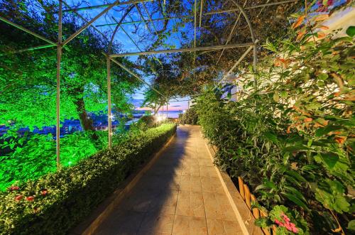 Κήπος έξω από το Zante Palace 
