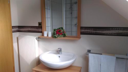 a bathroom with a sink and a mirror and towels at Haus Schnorbus in Hallenberg