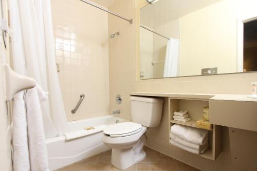 a bathroom with a toilet and a tub and a sink at Kentucky Dam Village State Resort Park in Gilbertsville