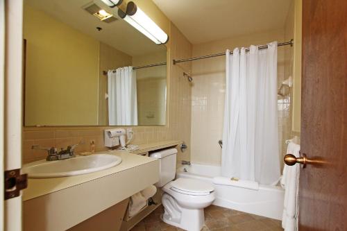a bathroom with a sink and a toilet and a mirror at Kentucky Dam Village State Resort Park in Gilbertsville
