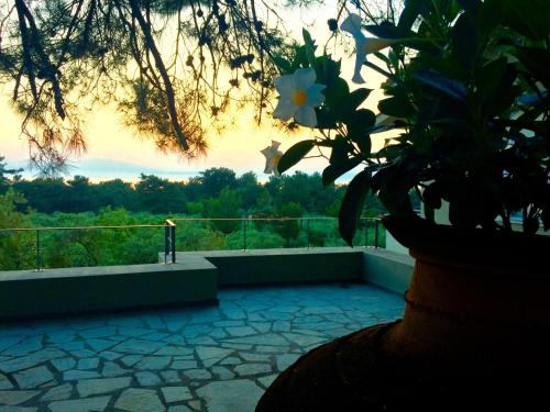 a view of a balcony with a flower on a tree at Armonia Villas in Skala Rachoniou