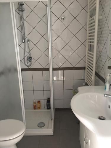 ein Bad mit einer Dusche, einem Waschbecken und einem WC in der Unterkunft Casa Ferrari in Gerace