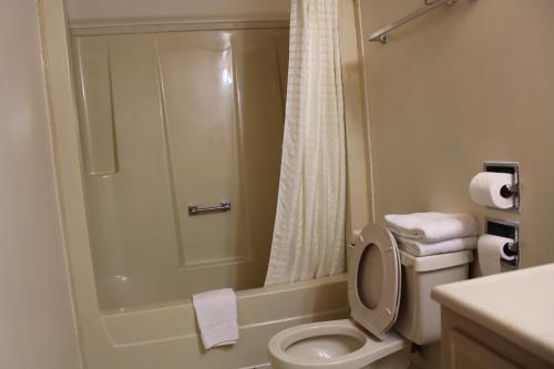 y baño pequeño con aseo y ducha. en American Inn and Suites, en Countryside