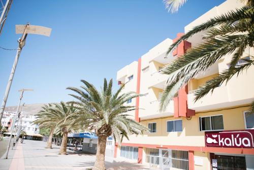 a row of palm trees in front of a building at Apartamentos Ocean View in Gran Tarajal