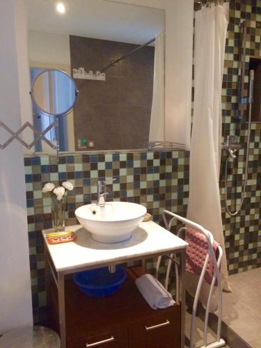 une salle de bain avec un lavabo et une douche dans l'établissement Villa Schiller, 2 studios côté jardin - quartier Orangerie, à Strasbourg