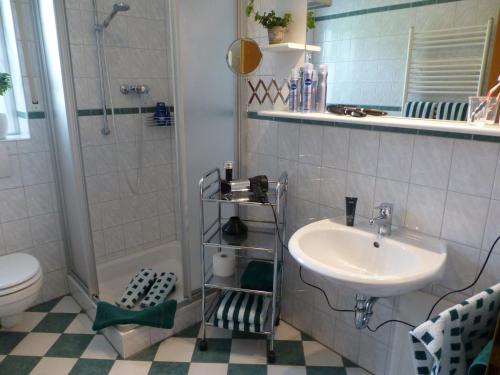 a bathroom with a sink and a shower and a toilet at Haus Talblick in Willingen