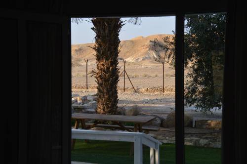 a view of a table and a palm tree from a window at Shkutai Hottub Arava in Ẕofar