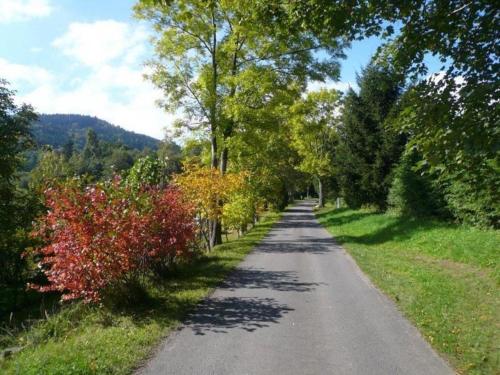 a road with trees and bushes on the side at Chalets under Falcon Ridge in Česká Ves