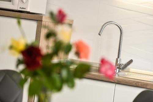 Un fregadero de cocina con grifo y flores en una encimera. en Villa Benelux, en Zadar