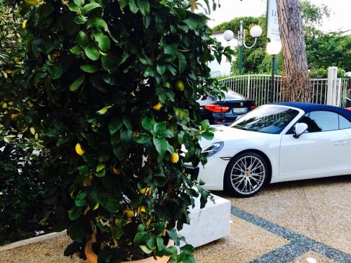 a white car parked next to a lemon tree at JR Resort Logos Forte dei Marmi in Forte dei Marmi