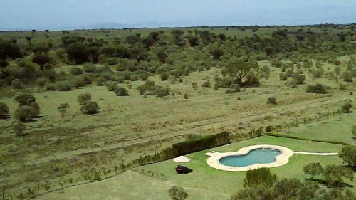 an aerial view of a lake in the middle of a field at Shwari Cottages in Naivasha